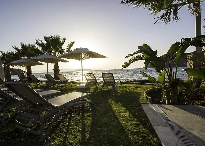 Hope ギュムシュルク